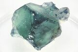 Green Cubic Fluorite Crystals with Phantoms - Yaogangxian Mine #215783-1